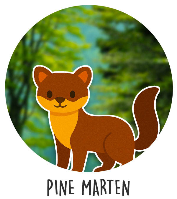 news_0003_pine-marten